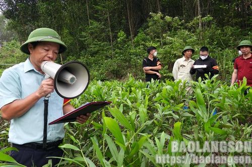 Cưỡng chế thu hồi đất nông nghiệp thực hiện dự án nút giao đường cao tốc vào khu công nghiệp VSIP Lạng Sơn