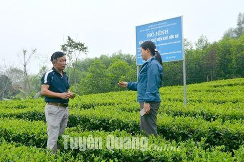 Đưa nghị quyết của HĐND tỉnh vào cuộc sống