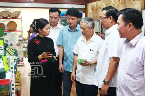 Hội viên Hội Nhà báo tỉnh thực tế tại Định Hóa