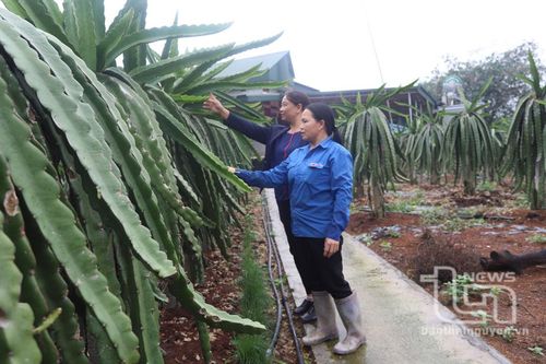 Đồng hành giúp phụ nữ phát triển kinh tế