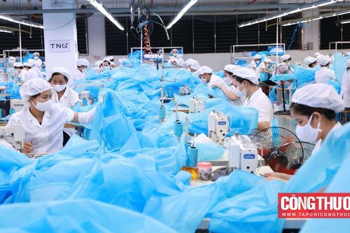 Dệt may TNG: Doanh thu tháng 7/2023 lên mức cao nhất từ đầu năm