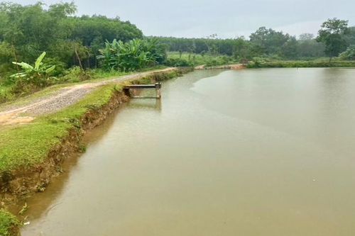 Nghệ An: Tập trung nâng cấp hồ chứa nước trọng yếu