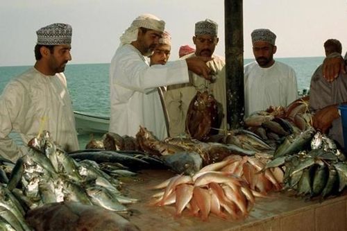 Xuất khẩu thủy sản sang UAE còn nhiều dư địa