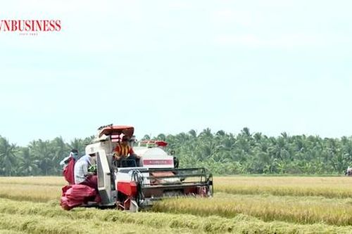 Giải mã 'kỳ tích' trong xây dựng nông thôn mới ở Tiểu Cần