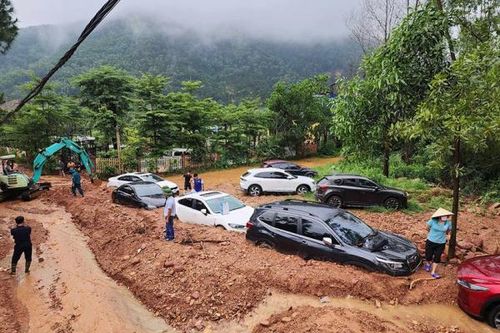 Sau thanh tra, rừng Sóc Sơn vẫn bị lấn chiếm