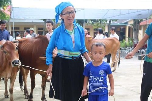 Tuyên Quang: Ngày vui nhận bò