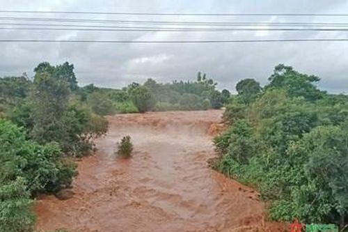 Gia Lai: Mưa lớn làm hàng trăm héc ta cây trồng bị thiệt hại