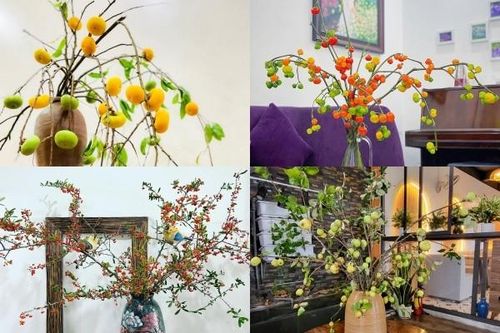 4 cành quả lạ cắm bình 'làm mưa làm gió' thị trường Việt