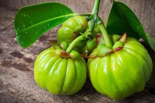 Trẻ 13 tuổi tăng men gan gấp 10 lần vì thuốc giảm cân