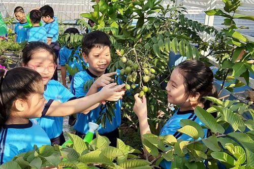 Người dân thực sự hài lòng với chất lượng dịch vụ giáo dục công?