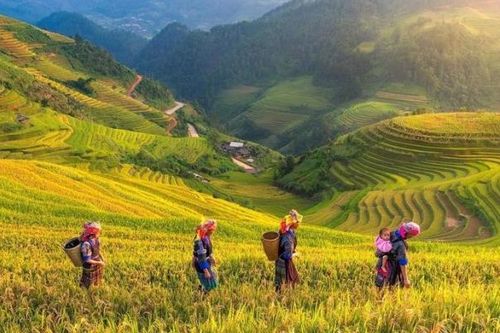 Phát triển du lịch theo tour ở Yên Bái