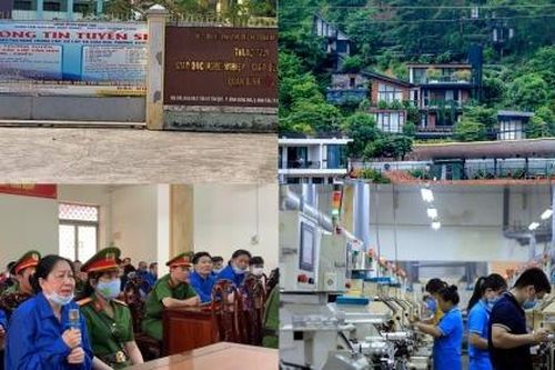 Nóng 18h: Hàng loạt cán bộ bị kỷ luật, vì sao rừng Sóc Sơn vẫn bị 'xẻ thịt'?