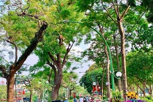 Xe hàng hoa đẹp ngỡ ngàng giữa phố phường Hà Nội