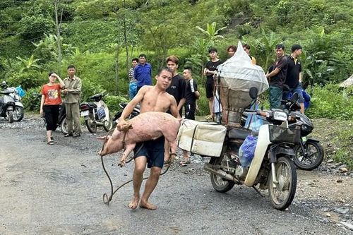 Lào Cai: Đẩy mạnh công tác khắc phục hậu quả vụ vỡ cống tràn xả thải