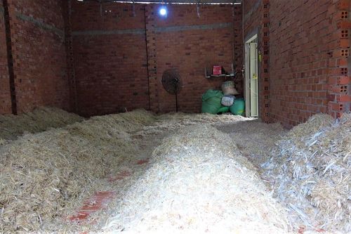 Tây Ninh: Cơ sở sơ chế lông gia cầm gây ô nhiễm trong khu dân cư