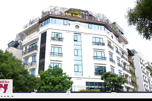 Làm rõ dấu hiệu lừa đảo dự án trồng Sâm Ngọc Linh