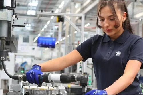 Tại sao Đức nguy cơ trở thành 'kẻ ốm yếu' ở châu Âu?