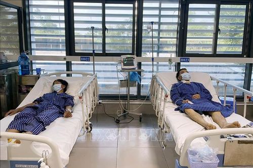 Cứu kịp thời 3 người bị tan máu do ngộ độc thức ăn ở Lạng Sơn