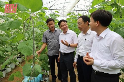 Nhiều kết quả tích cực trong thực hiện Phong trào 'Toàn dân đoàn kết xây dựng đời sống văn hóa' tại huyện Thọ Xuân