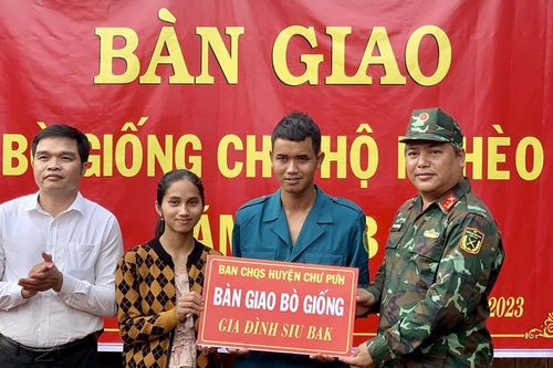 Lực lượng vũ trang Chư Pưh quan tâm giúp đỡ người nghèo