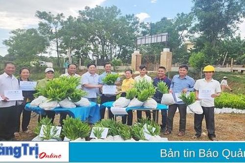 Hỗ trợ 150.000 cây giống để trồng rừng không đốt thực bì