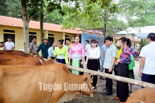 Ủy ban Trung ương MTTQ Việt Nam trao hỗ trợ bò sinh sản tại xã Đông Thọ