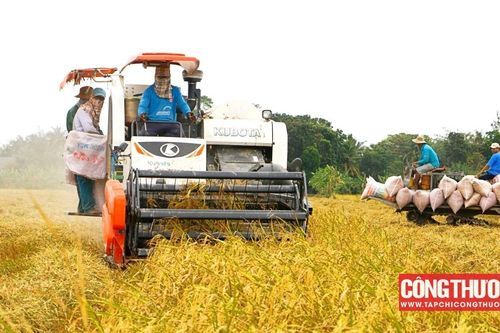 Cổ phiếu VSF của Vinafood 2 bất ngờ 'nằm sàn', sóng cổ phiếu gạo đã đến hồi kết?
