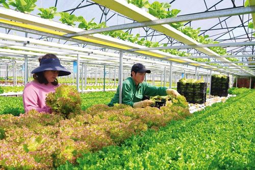 Tạo động lực phát triển bền vững