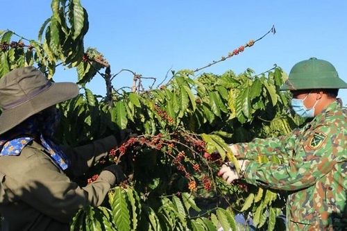 Đăk Hà vượt khó, xây dựng nông thôn mới