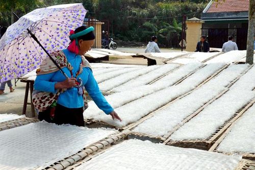 Kinh tế tập thể, HTX xóa nghèo cho đồng bào dân tộc thiểu số