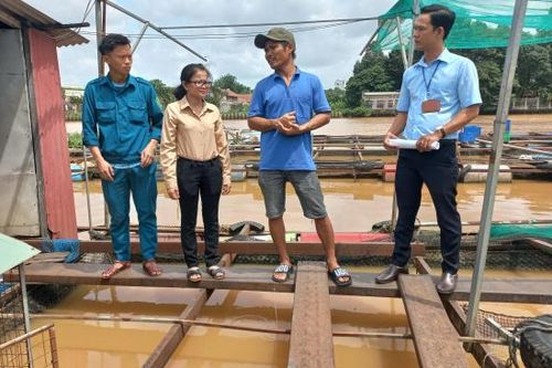 Chủ động phương án ứng phó khi hồ thủy điện lớn nhất miền Nam xả tràn