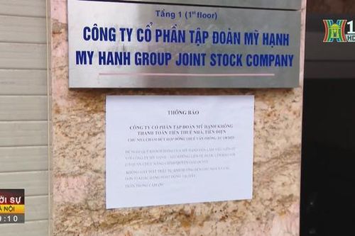 Điều tra dấu hiệu lừa đảo dự án trồng Sâm Ngọc Linh