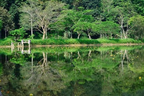 Vườn quốc gia Cúc Phương có gì mà 5 lần liên tiếp được bình chọn là 'Vườn quốc gia hàng đầu châu Á'?