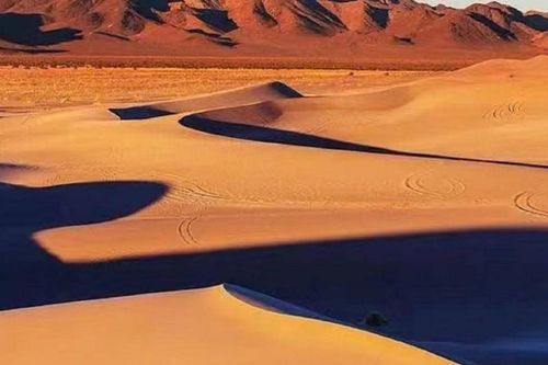 Có gì dưới lớp cát dày của sa mạc Sahara?