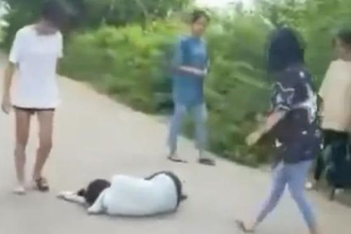 Phú Thọ: Xác minh clip nhóm học sinh hành hung nữ sinh lớp 8 nằm bất động