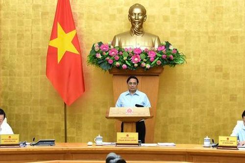 Bộ Y tế chủ trì tăng cường phòng, chống các bệnh truyền nhiễm như sốt xuất huyết, tay chân miệng