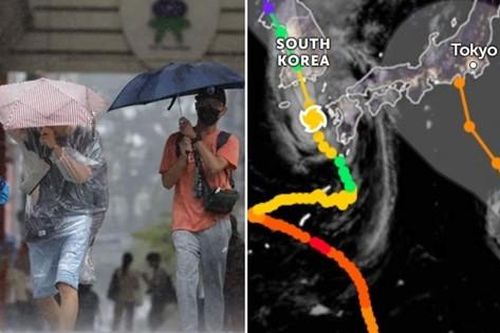 Đặc điểm khác thường của bão Khanun khiến nó gây thiệt hại kéo dài ở nhiều quốc gia