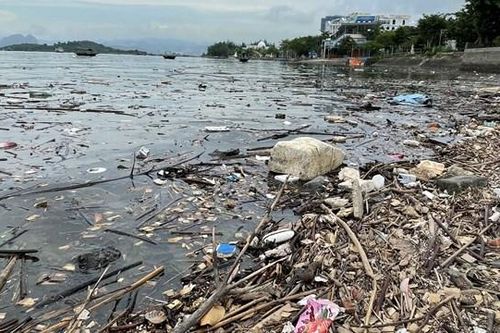 Rác 'tấn công' khu vực ven bờ vịnh Hạ Long