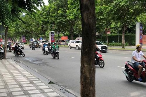 TP HCM dùng bê tông thấm nước để bảo vệ gốc cây