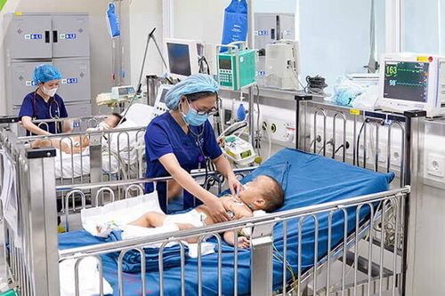 Cứu 3 bệnh nhi nguy kịch vì bị rắn độc cắn