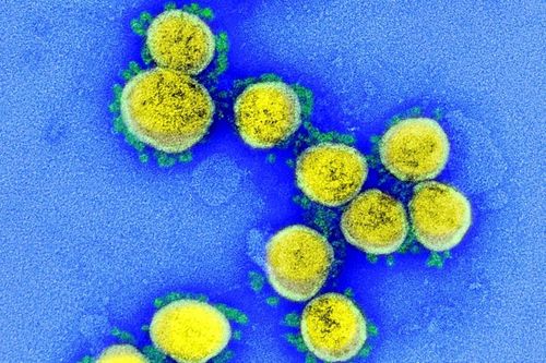 WHO theo dõi biến thể mới của virus SARS-CoV-2 đang lan rộng ở Anh và Mỹ