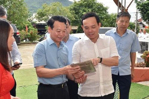 Phó Thủ tướng khảo sát các chương trình MTQG tại Yên Bái