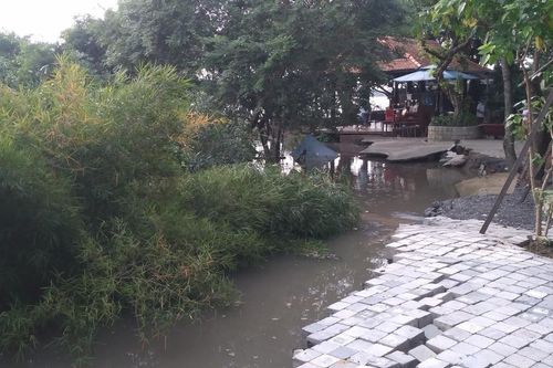 Sạt hàm ếch dài hơn 40m ở bờ sông Sài Gòn