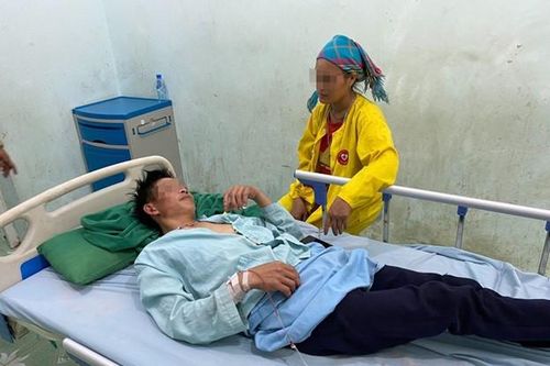 Hà Giang: 8 người ngộ độc khi ăn hoa chuông xào trứng