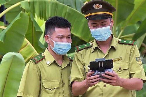Sử dụng flycam quản lý tài nguyên rừng ở VQG Bến En