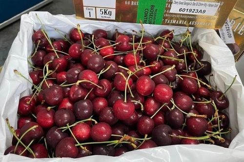 Giá cherry nhập khẩu Mỹ thấp kỷ lục; Giá vàng tiếp tục trượt dốc