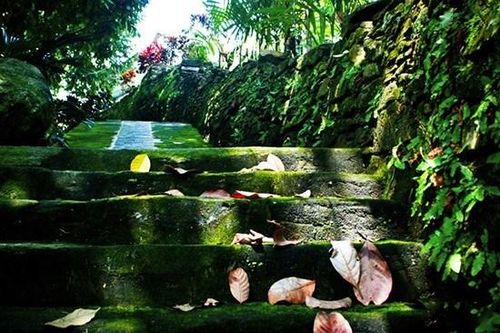 Quảng Nam: Nhiều tiềm năng du lịch ở vùng sâu trong đất liền