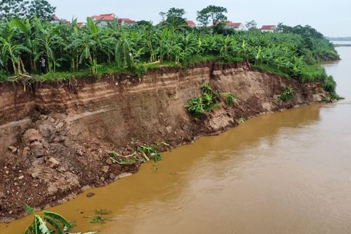 Mưa lũ gây nhiều thiệt hại cho tỉnh Phú Thọ và Lào Cai