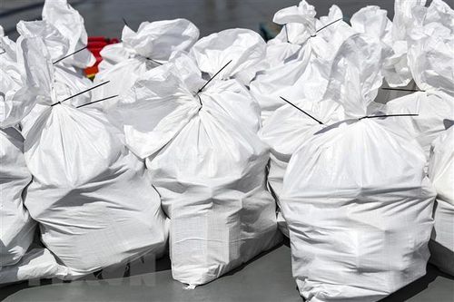 Hà Lan: 8.000kg cocaine giấu trong container chuối tại cảng Rotterdam