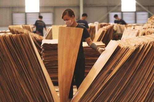 'Khám' sức khỏe của loạt doanh nghiệp ngành gỗ